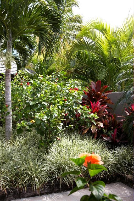 Te Vakaroa Villas Rarotonga Bagian luar foto